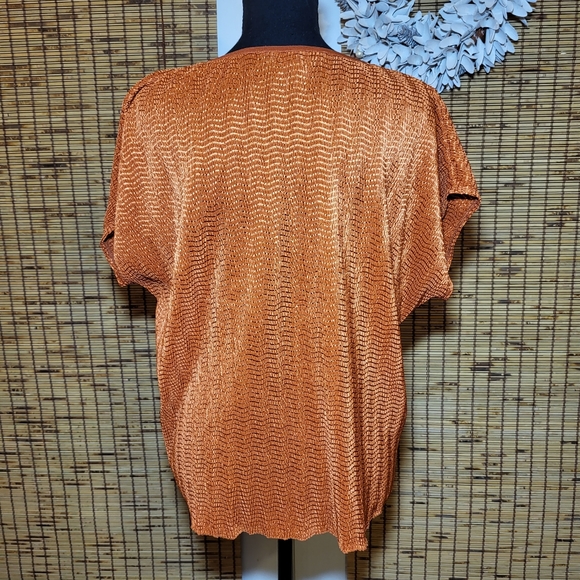 Rust Orange Textured Blouse - Shirt Only - Picture 3 of 4